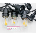 Outdoor String Lights with 15 Lights (3 Extra S14 Bulbs) and 13 Foot Matching Extension Cord - Commercial Weatherproof Patio St